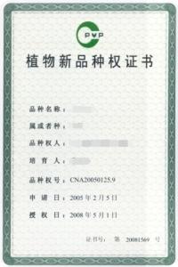 植物新品种